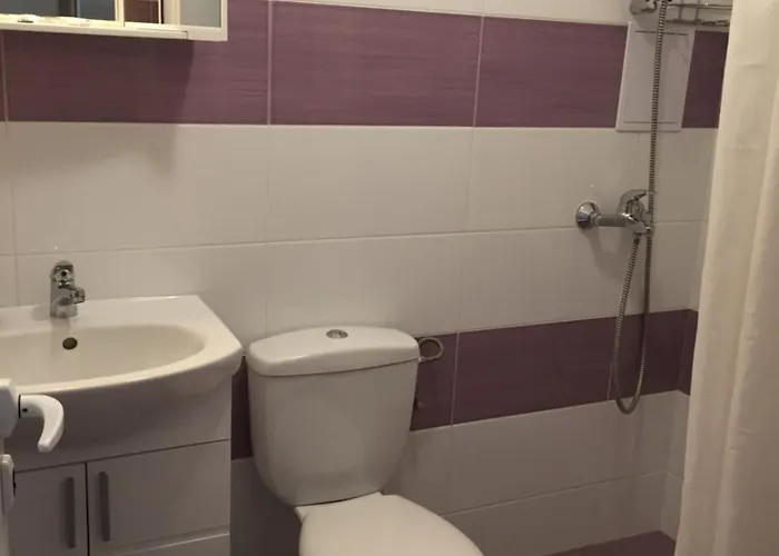 Apartment Zori Burgas